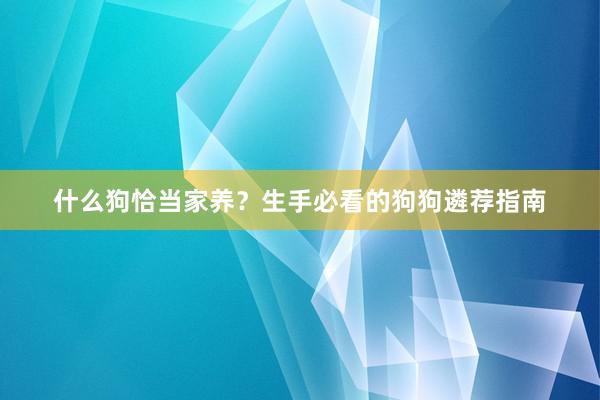 什么狗恰当家养？生手必看的狗狗遴荐指南
